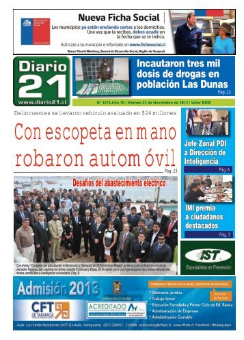 Desafíos del abastecimiento eléctrico - Diario 21