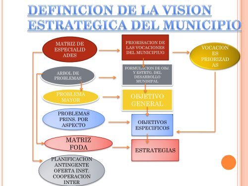 participativa municipal