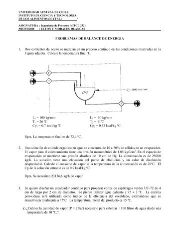 Guía de Problemas - Balance Energía 2.pdf - ICYTAL - UACh ...