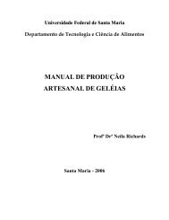 MANUAL DE PRODUÇÃO ARTESANAL DE GELÉIAS - UFSM
