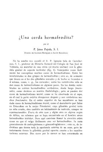 ¿Una cerda hermafrodita?