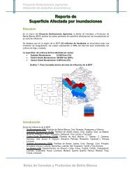 Reporte de superficie afectada por inundaciones