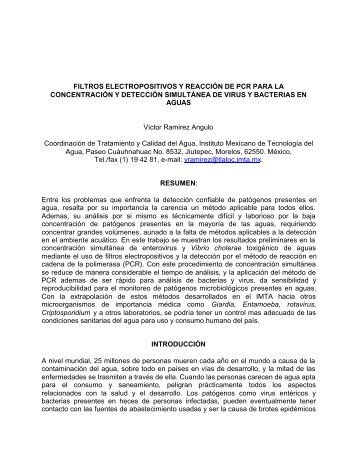 Filtros electropositivos y reacción de PCR para la - BVSDE