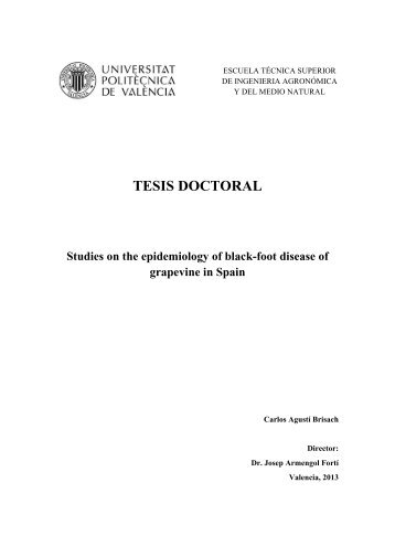 TESIS DOCTORAL - RiuNet - Universidad Politécnica de Valencia