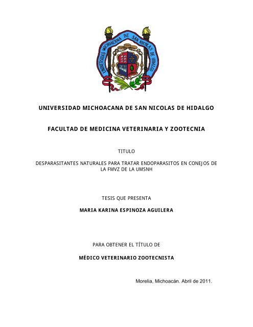 Desparasitantes naturales para tratar endoparásitos en conejos