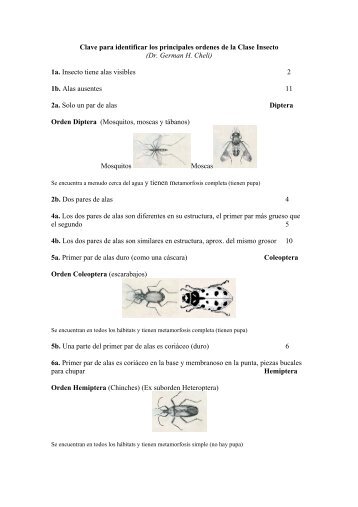 Claves para identificar insectos - Organismos