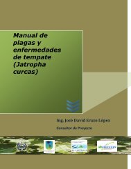 Manual de plagas y enfermedades de tempate (Jatropha ... - centa