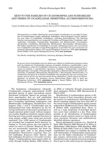 Keys to the families of cicadomorpha and subfamilies and tribes