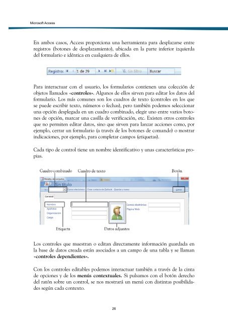 Microsoft Access - Ideaspropias Editorial