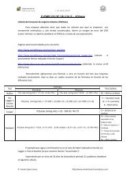 EJEMPLOS DE CÁLCULO – VO2max