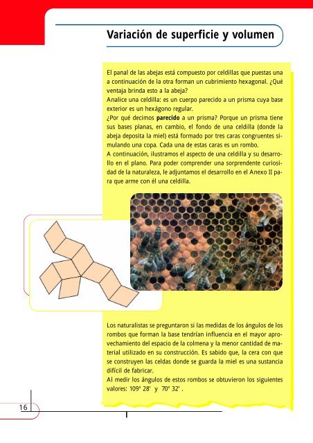 Matemática Nivel VI - Región Educativa 11