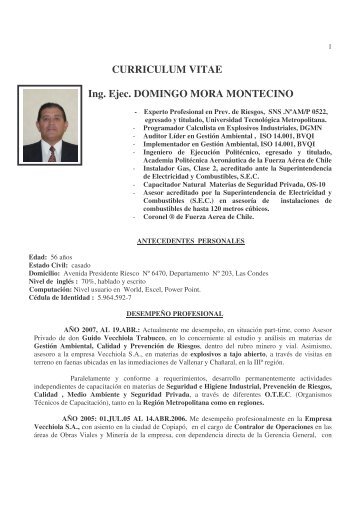 CURRICULUM VITAE Ing. Ejec. DOMINGO MORA ... - Instituto Asiste