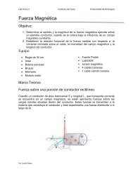 Fuerza Magnética - Instituto de Física - Universidad de Antioquia