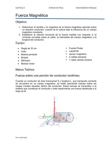 Fuerza Magnética - Instituto de Física - Universidad de Antioquia