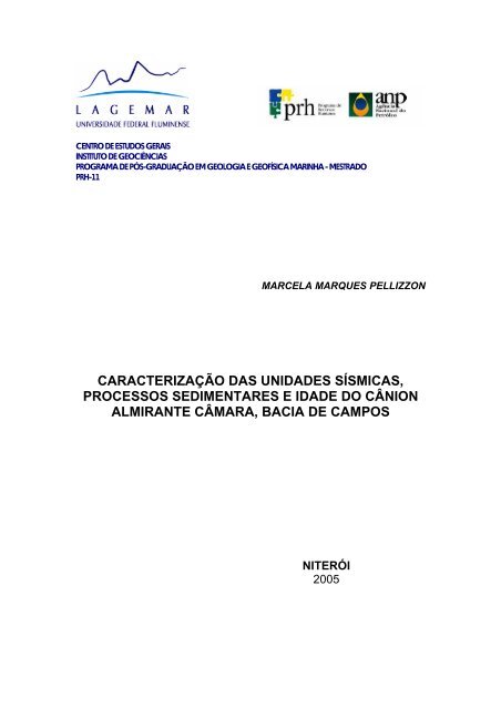 caracterização das unidades sísmicas, processos - ANP