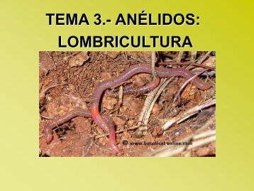 Tema 3 Lombricultura