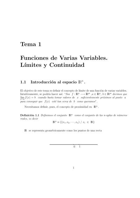 Tema 1 Funciones de Varias Variables. L´ımites y Continuidad