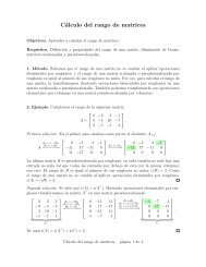 Cálculo del rango de matrices - Egor Maximenko, Apuntes y ...