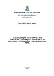 UNIVERSIDADE SALVADOR - Universidade Federal da Bahia