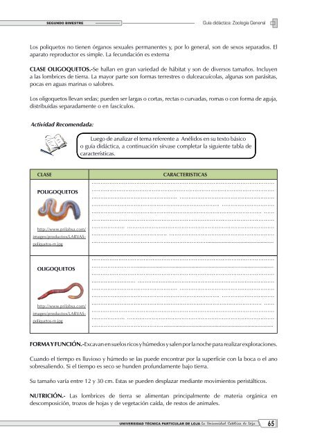 Aproximadamente 10 000 especies de protozoos son simbiontes ...