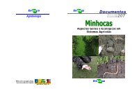 Minhocas - Agroecologia