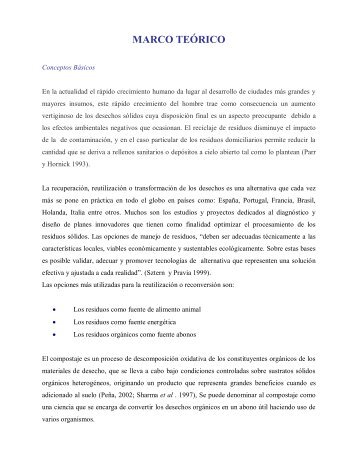 MARCO TEÓRICO - Web del Profesor