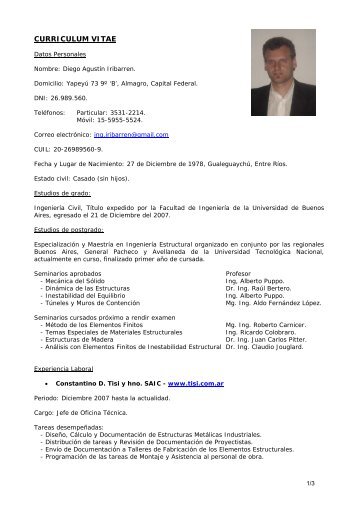 CURRICULUM VITAE - Ingeniero Diego A. Iribarren