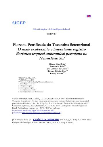 Floresta Petrificada do Tocantins Setentrional O - SIGEP - CPRM
