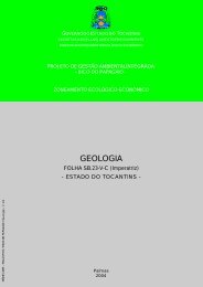 GEOLOGIA FOLHA SB.23-VC (Imperatriz) - seplan - Governo do ...