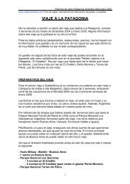 VIAJE A LA PATAGONIA - Viajerosolidario