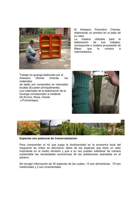 Informe Final Uso de Biodiversidad- Ma. Teresa ... - CHM-Colombia