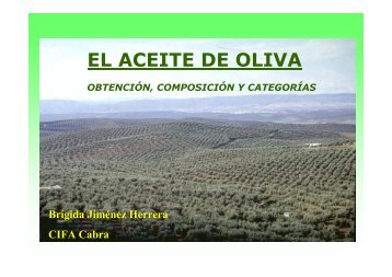 El aceite de oliva ( pdf ) - Terra olea