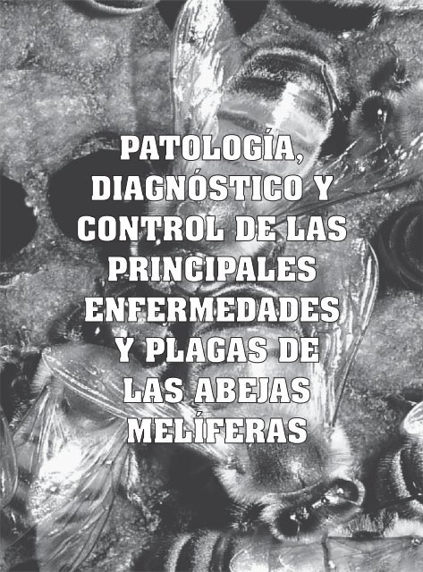 infección bacteriana que las abejas pueden transmitir a un humano infección bacteriana que las abejas pueden transmitir a un humano