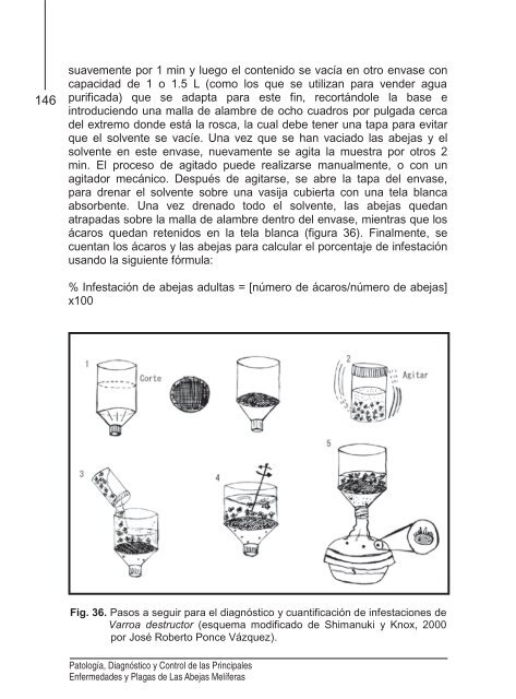 15-Agosto-2012 Manual de Abejas FINAL y - Consejo Técnico ...