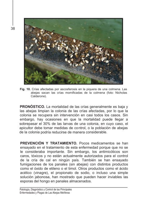 15-Agosto-2012 Manual de Abejas FINAL y - Consejo Técnico ...