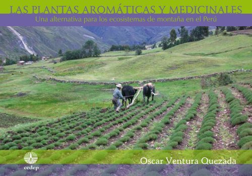 Las plantas aromáticas y medicinales. Una alternativa para - CEDEP