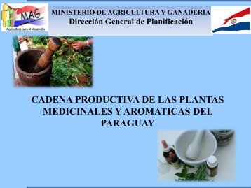 Cadena Productiva de las Plantas Medicinales y Aromáticas del ...