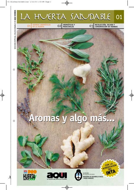 01 Hierbas Aromaticas En La Huerta Pdf Inta