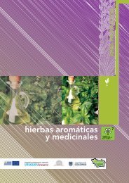 hierbas aromáticas y medicinales - Uruguay Integra
