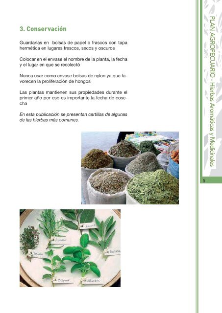 hierbas aromáticas y medicinales - Uruguay Integra