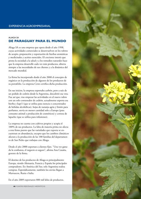 PLANTAS MEDICINALES Y AROMÁTICAS - Ministerio de ...