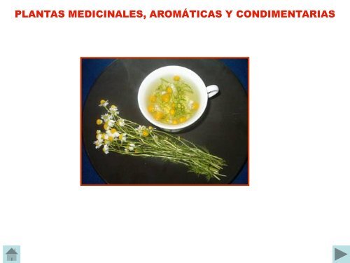 Usos de plantas medicinales Aromáticas y Condimentarias