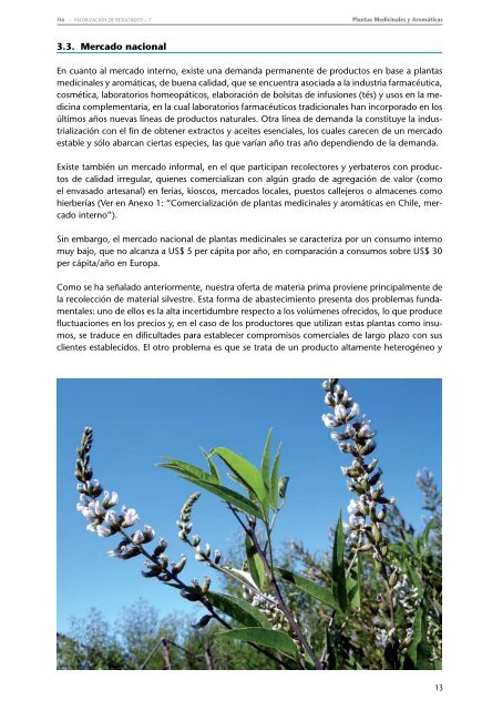 Plantas Medicinales y Aromáticas - Biblioteca Digital ...