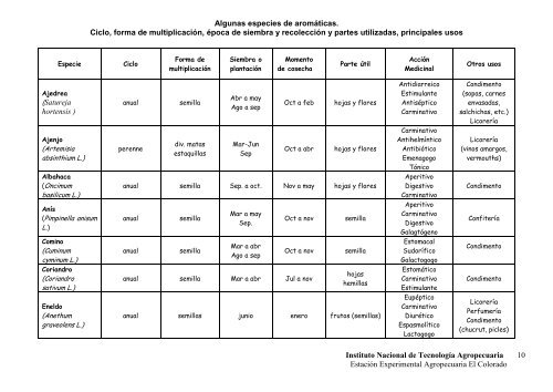 plantas aromáticas