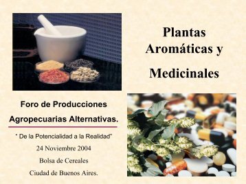 Plantas Aromáticas y Medicinales