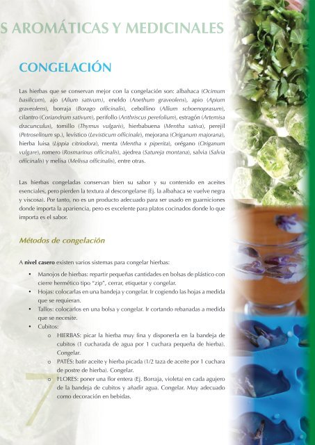 transformación de plantas aromáticas y medicinales - CTFC