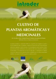 cultivo de plantas aromáticas y medicinales - CTFC
