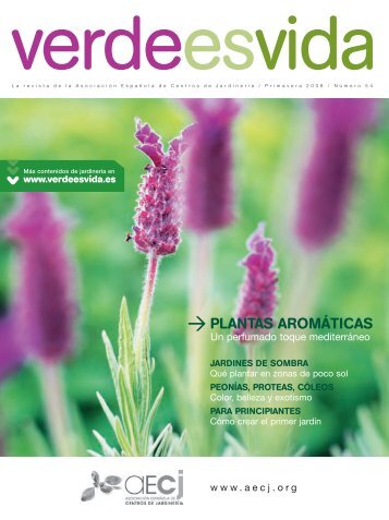 PLANTAS AROMÁTICAS