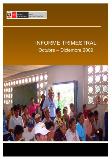 INFORME TRIMESTRAL - Ministerio de Energía y Minas