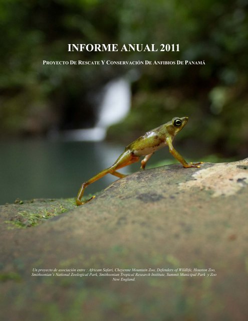 informe anual 2011 - Amphibian Rescue and Conservation Project